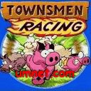 game pic for Townsmen Racing